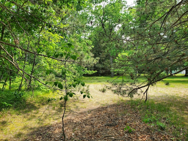998 E Monroe St, White Cloud, MI 49349