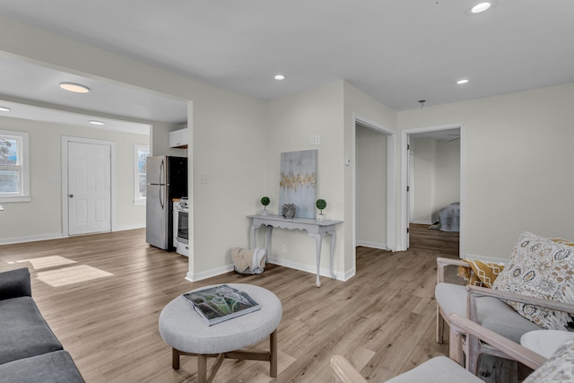 living room featuring light hardwood / wood-style flooring