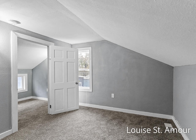additional living space with carpet, a textured ceiling, vaulted ceiling, and a wealth of natural light