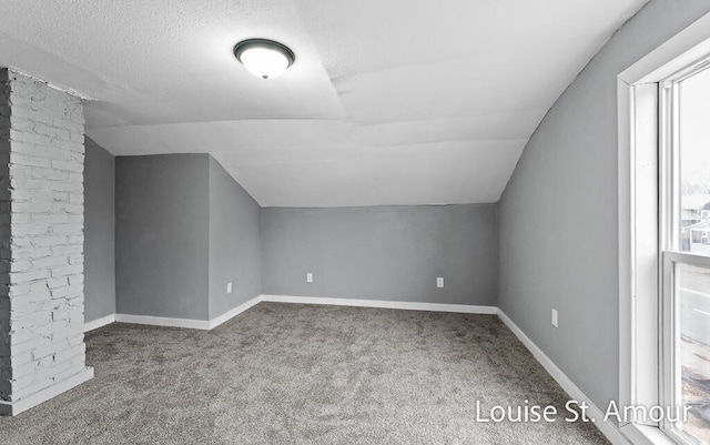 additional living space featuring a textured ceiling, carpet floors, vaulted ceiling, and plenty of natural light