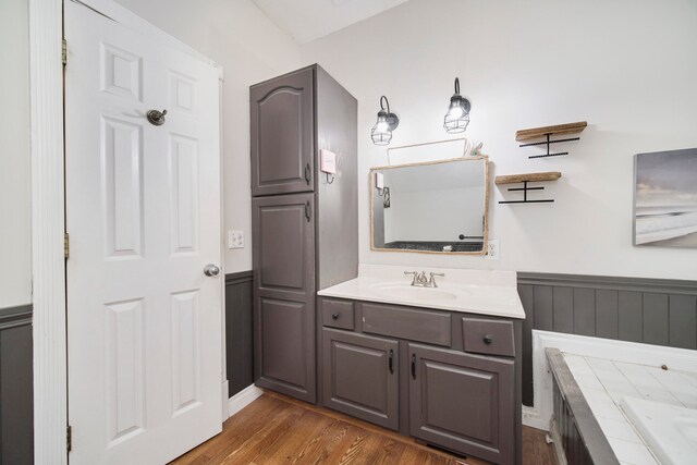 bathroom featuring wood-type flooring and vanity