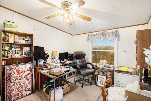 carpeted office space featuring ceiling fan, crown molding, and a textured ceiling