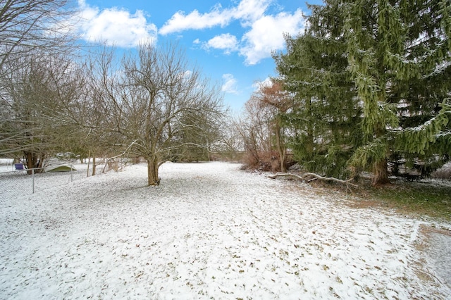 view of yard covered in snow