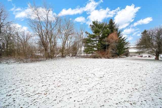 view of yard layered in snow