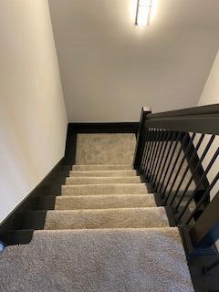 stairway with carpet flooring