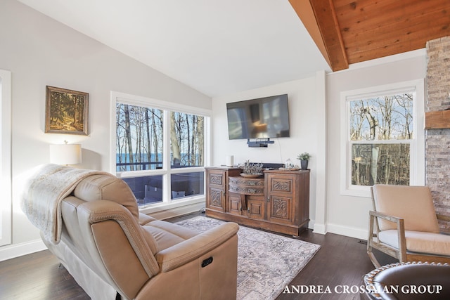 living room with lofted ceiling with beams, dark hardwood / wood-style flooring, and a wealth of natural light