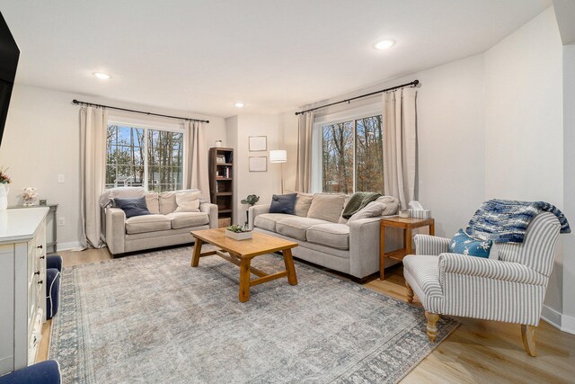 living room with light hardwood / wood-style flooring