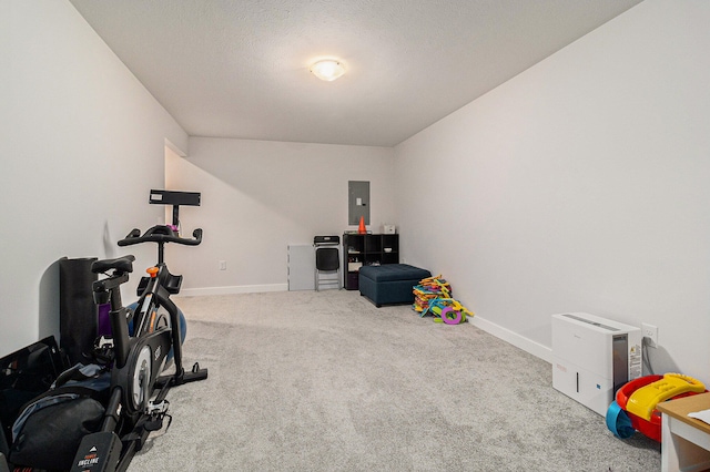 exercise room with electric panel, carpet floors, and a textured ceiling