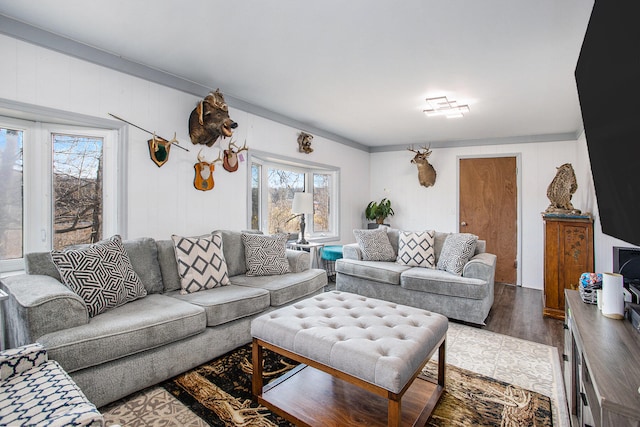 living room with wood walls, wood-type flooring, crown molding, and a wealth of natural light