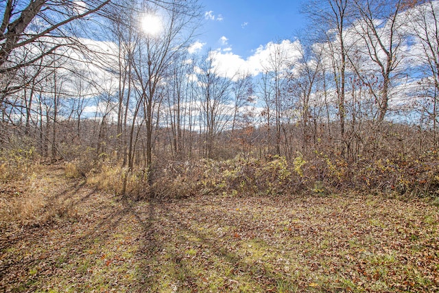 view of local wilderness