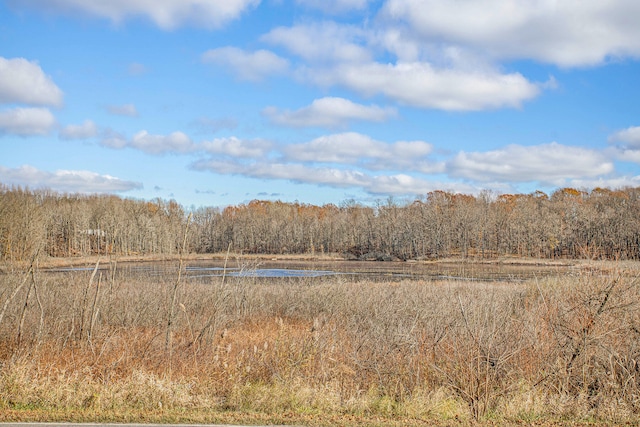 view of local wilderness