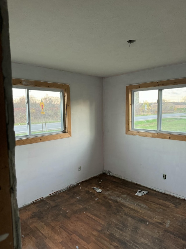 unfurnished room featuring plenty of natural light and dark wood-type flooring