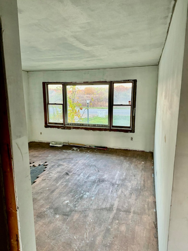 spare room featuring hardwood / wood-style flooring and a healthy amount of sunlight