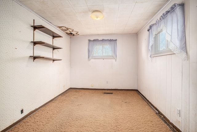 spare room featuring carpet, a healthy amount of sunlight, and wood walls