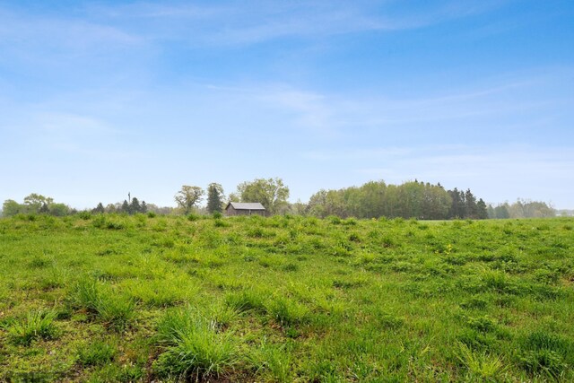 view of local wilderness featuring a rural view