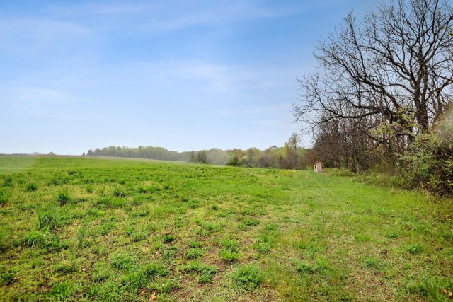 view of yard featuring a rural view