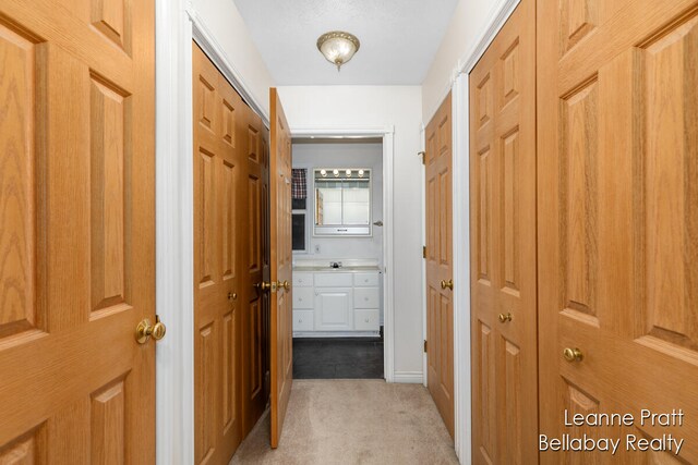 hallway with light carpet