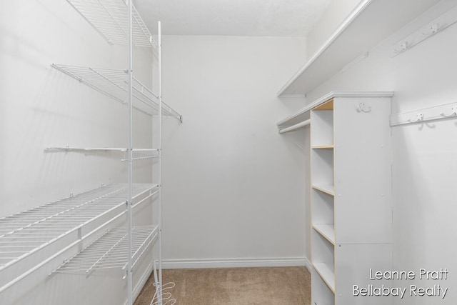 spacious closet featuring carpet