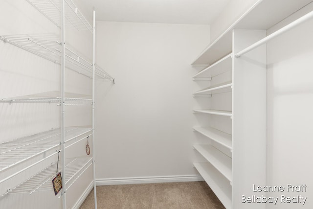 spacious closet with light carpet