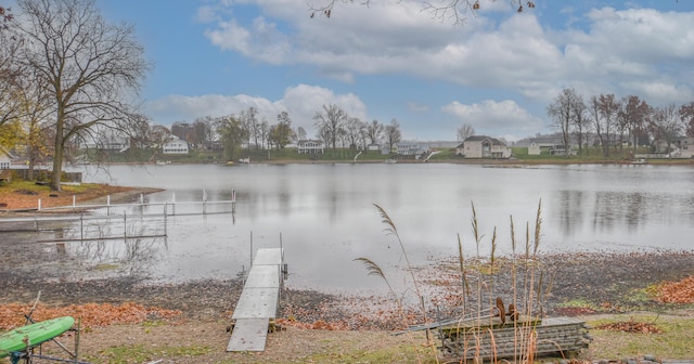 dock area with a water view