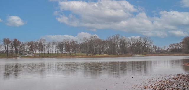 property view of water