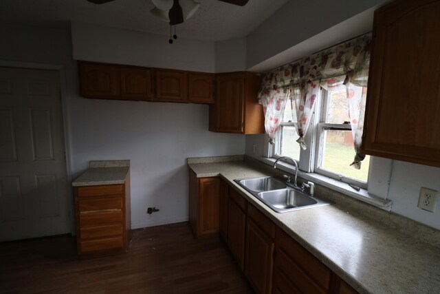 kitchen featuring dark hardwood / wood-style floors, ceiling fan, and sink