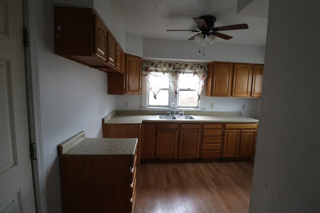 kitchen with ceiling fan, sink, a textured ceiling, and hardwood / wood-style flooring