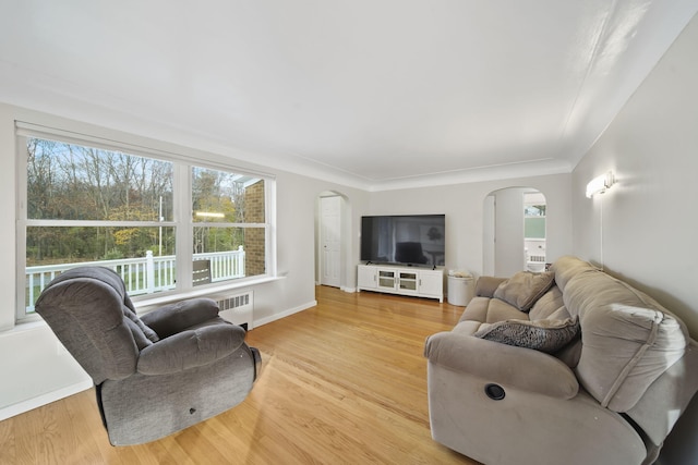 living room with light hardwood / wood-style floors, radiator heating unit, and ornamental molding