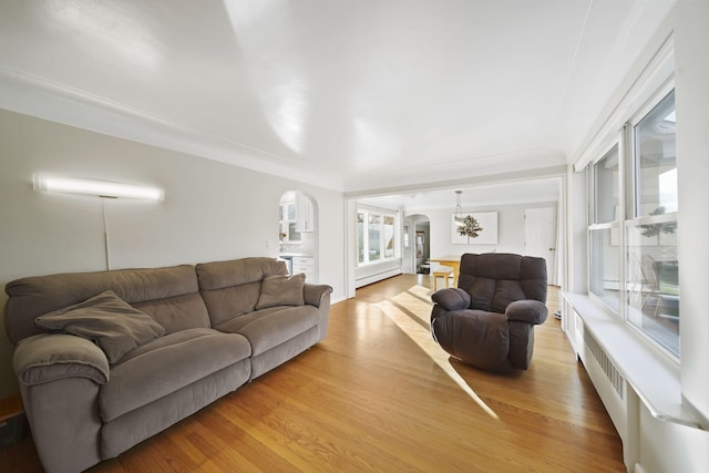 living room with light hardwood / wood-style flooring and a baseboard radiator