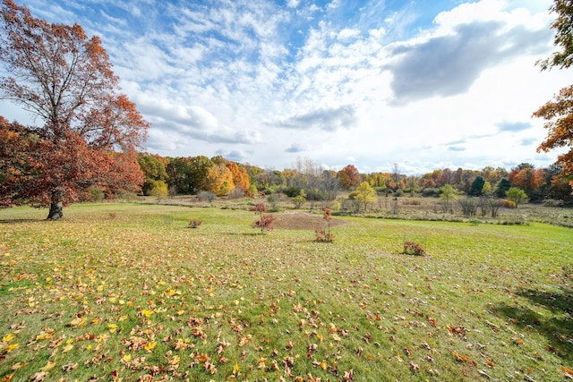 view of yard featuring a rural view