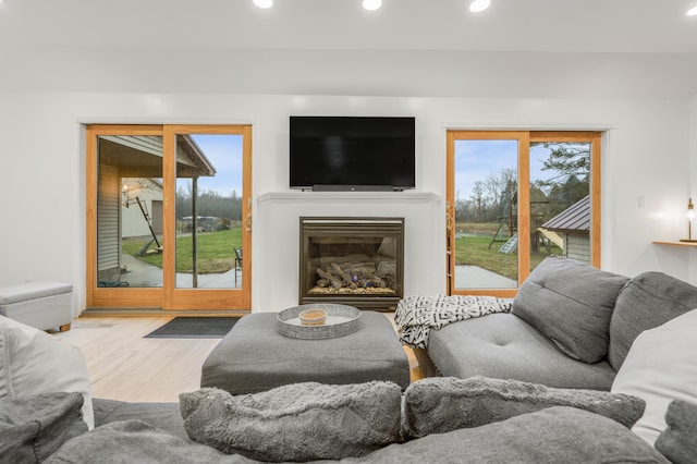 living room featuring light hardwood / wood-style floors and a healthy amount of sunlight