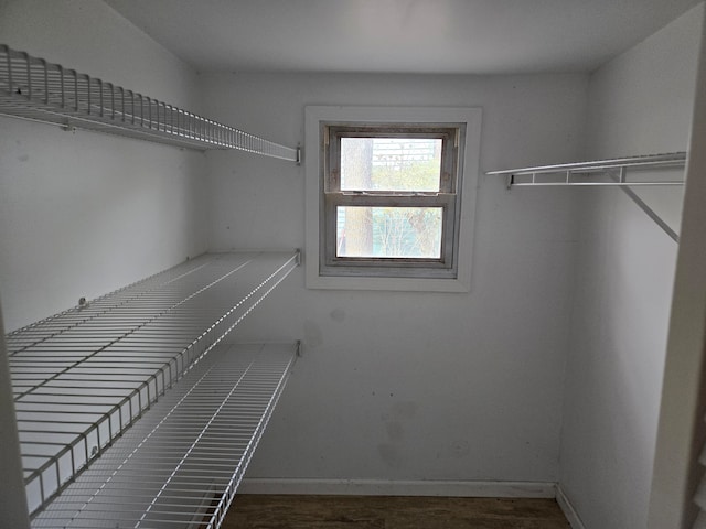 view of walk in closet