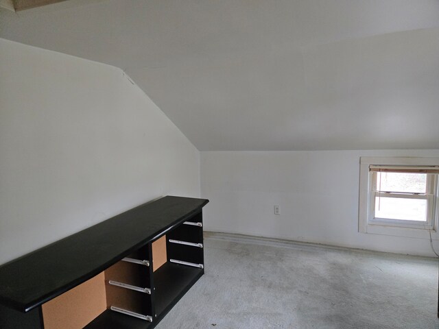 additional living space with carpet floors and vaulted ceiling