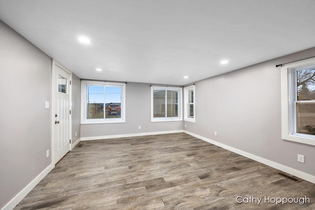 entryway featuring a wealth of natural light and wood-type flooring