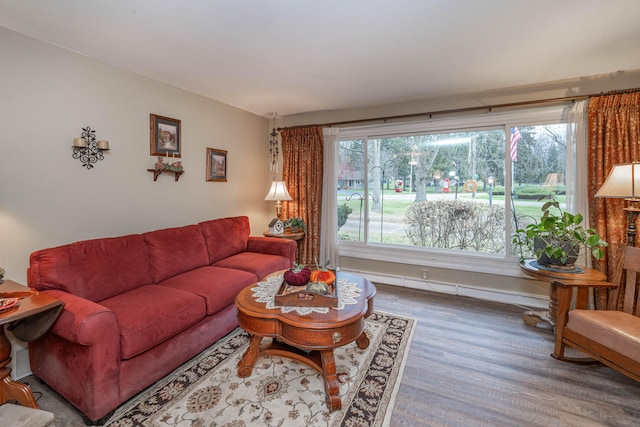 living room featuring wood-type flooring