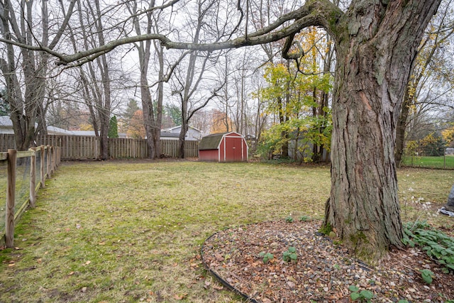 view of yard featuring a storage unit