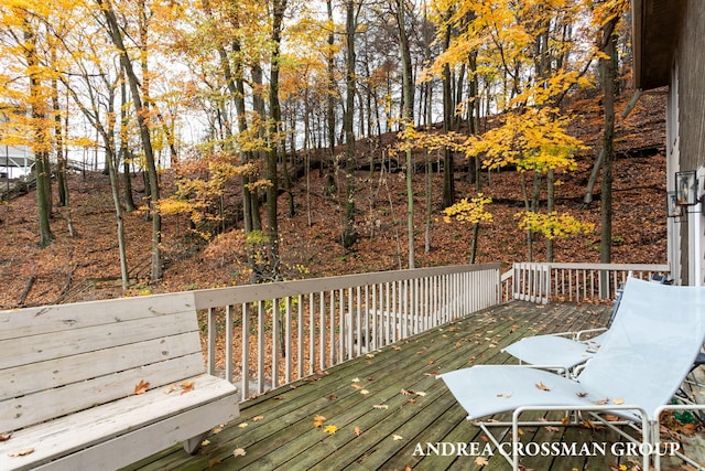 view of wooden terrace