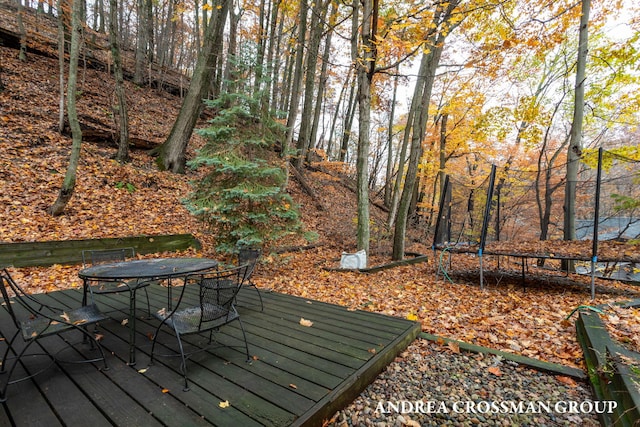 wooden deck with a trampoline