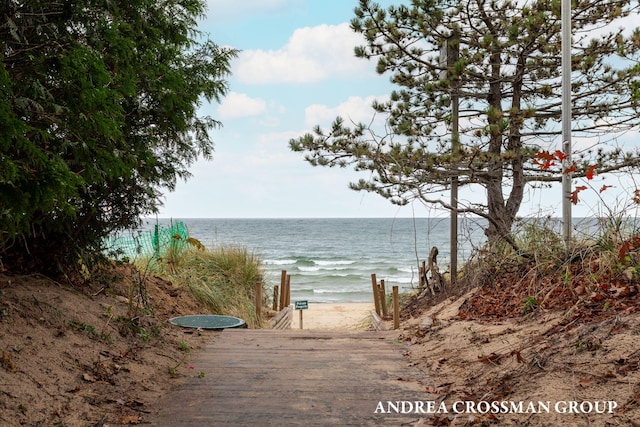 water view featuring a beach view