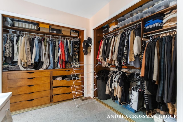 walk in closet featuring carpet floors