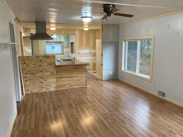 kitchen with custom exhaust hood, ceiling fan, crown molding, sink, and wood-type flooring