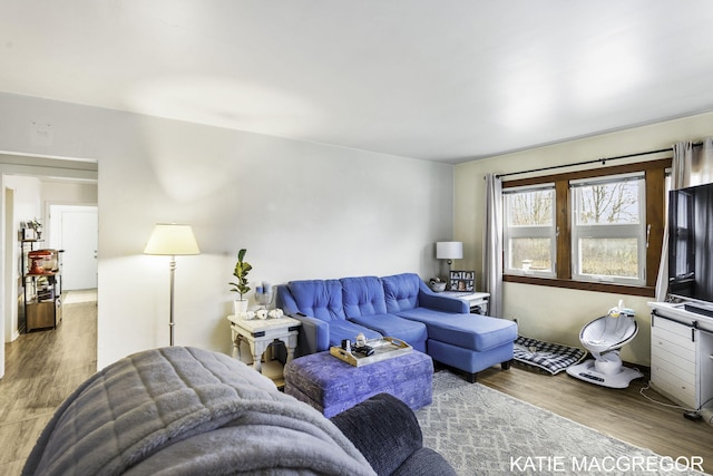 living room featuring hardwood / wood-style flooring