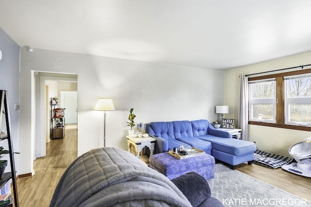 living room with light wood-type flooring