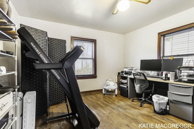 office area featuring a healthy amount of sunlight, ceiling fan, and wood-type flooring