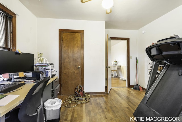 office area featuring dark hardwood / wood-style floors