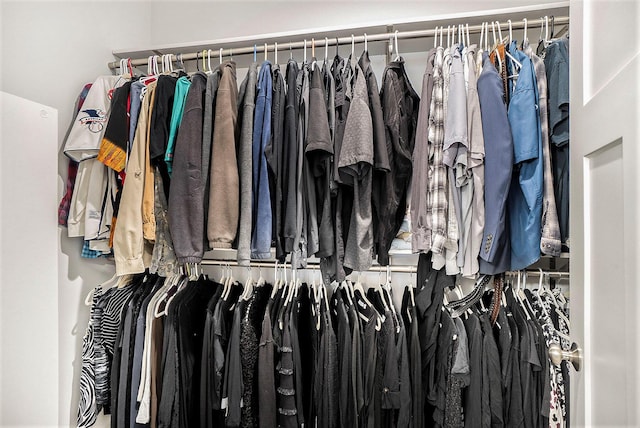 18481 N Fruitport Rd, Spring Lake, MI 49456 - view of walk in closet