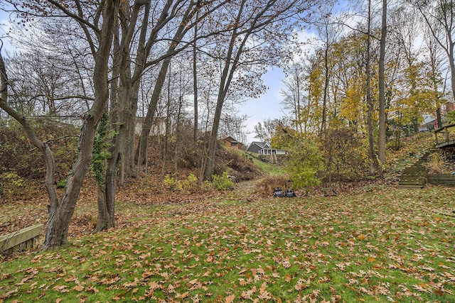 18481 N Fruitport Rd, Spring Lake, MI 49456 - view of yard