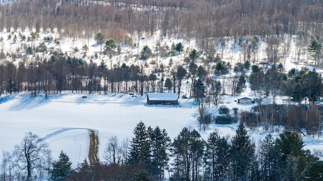 view of snowy aerial view