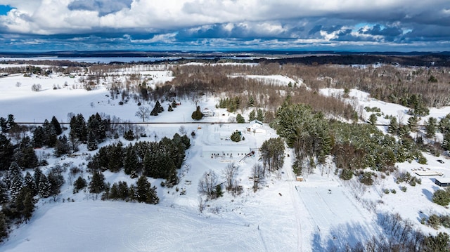 view of snowy aerial view