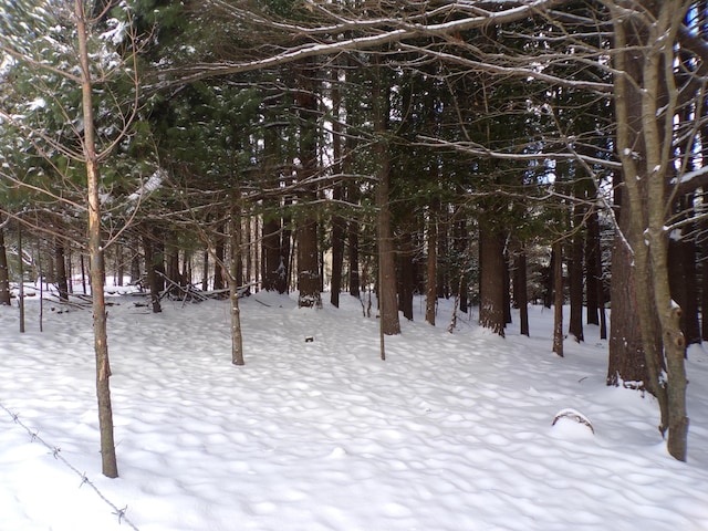 view of snow covered land